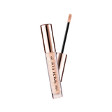 Instyle Lasting Finish Concealer