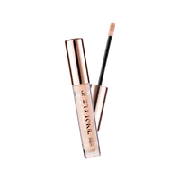 Instyle Lasting Finish Concealer